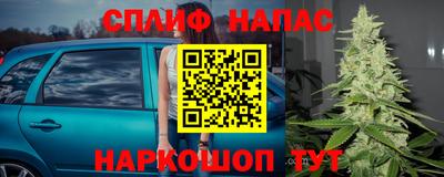 стаф Кулебаки