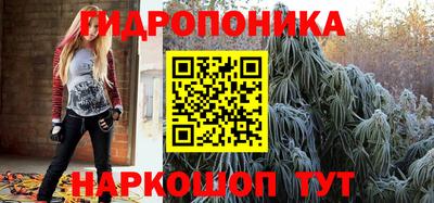 стаф Кулебаки