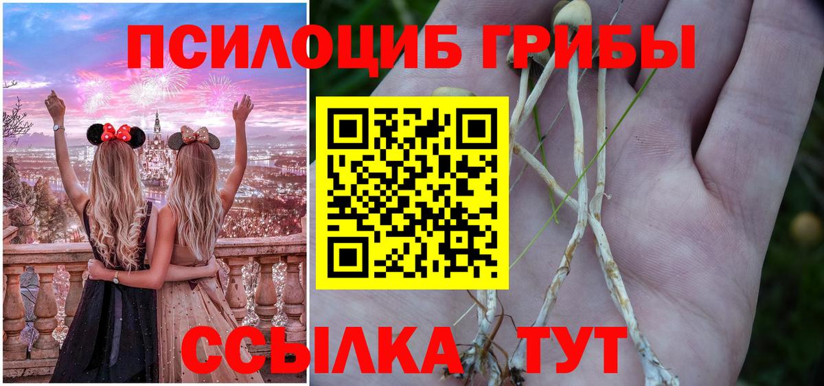 Галлюциногенные грибы Psilocybine cubensis Клинцы