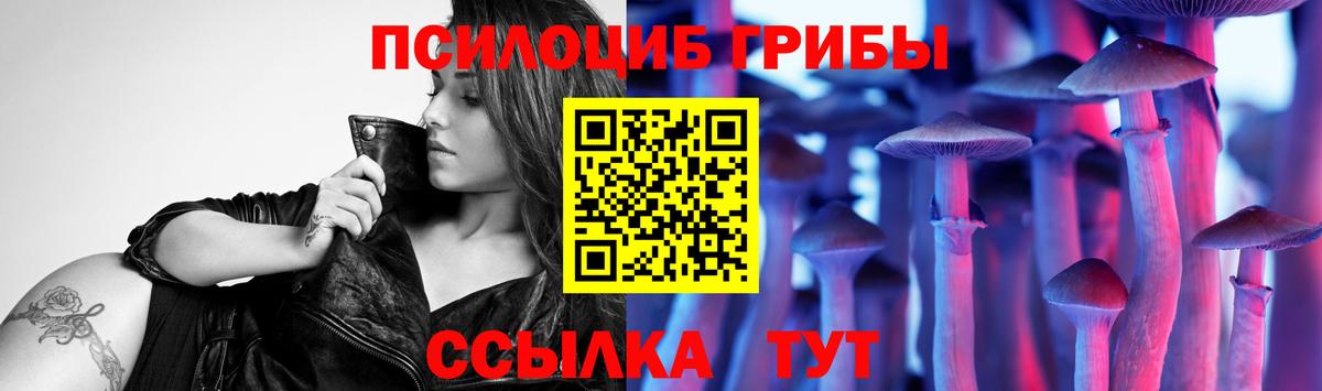 Клинцы  Галлюциногенные грибы Magic Shrooms  Вход с VPN  Галлюциногенные грибы ЛСД 
